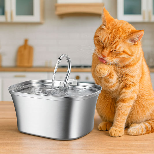 Curved Runway Pet Fountain with Gooseneck Spout