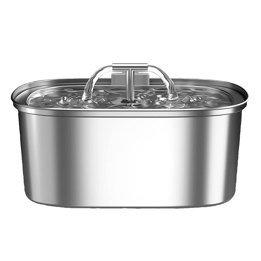 Runway Pet Fountain with Dual Spouts