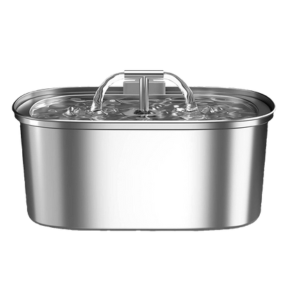 Runway Pet Fountain with Dual Spouts